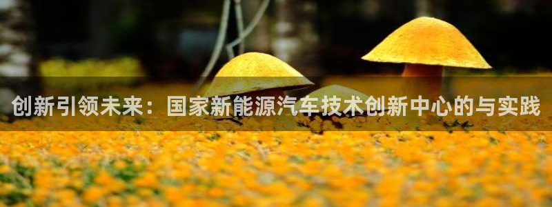 门徒娱乐平台代理