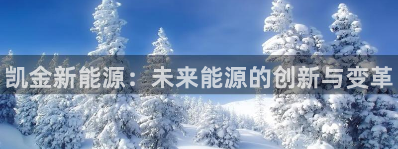 门徒娱乐的产品介绍：凯金新能源：未来能源