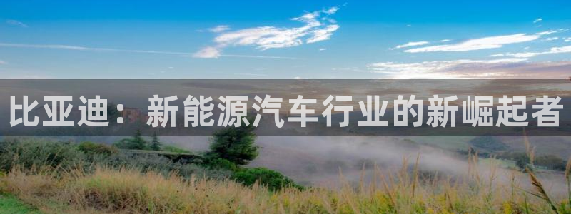 娱乐门徒全文免费阅读：比亚迪：新能源汽车