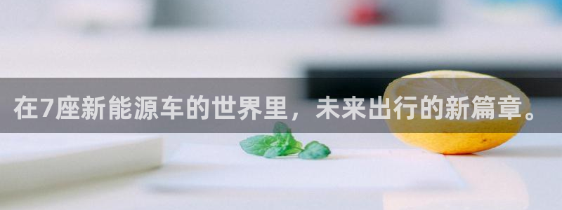 门徒娱乐平台注册：在7座新能源车的世界里