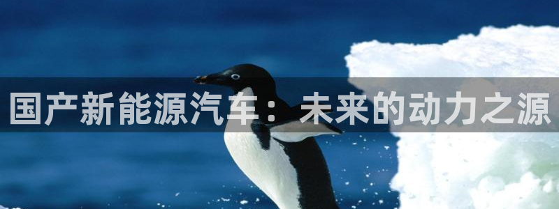 门徒娱乐官网下载：国产新能源汽车：未来的