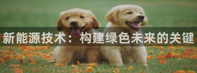 门徒娱乐怎么注册公司的：新能源技术：构建