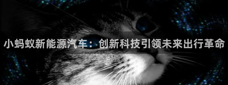 门徒娱乐吧