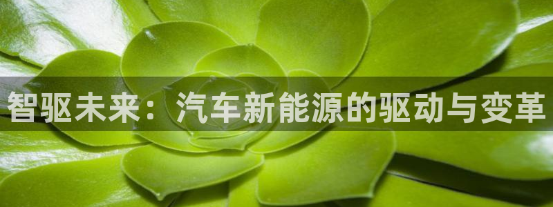 门徒娱乐平台代理合法吗：智驱未来：汽车新