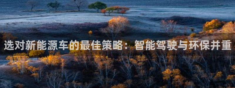门徒娱乐是个什么软件：选对新能源车的最佳