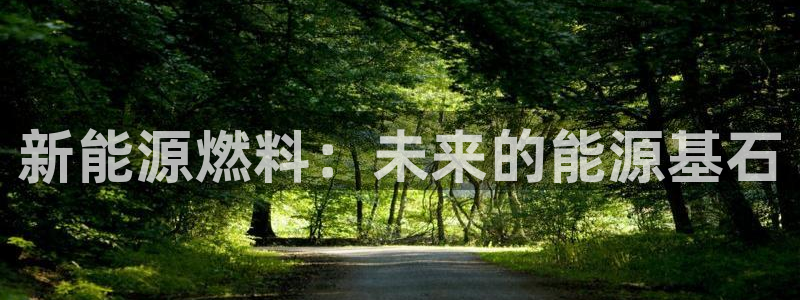 门徒娱乐土六七五一38：新能源燃料：未来