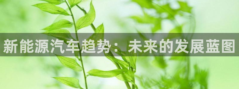 焦点娱乐门徒平台是什么:新能源汽车趋势:未来的发展蓝图