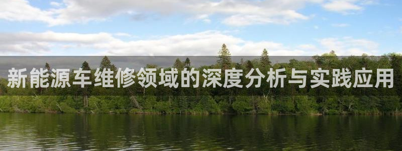 门徒娱乐最狠的三个平台排名:新能源车维修领域的深度分析与实践