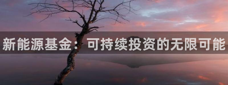 门徒娱乐怎么代理:新能源基金:可持续投资的无限可能