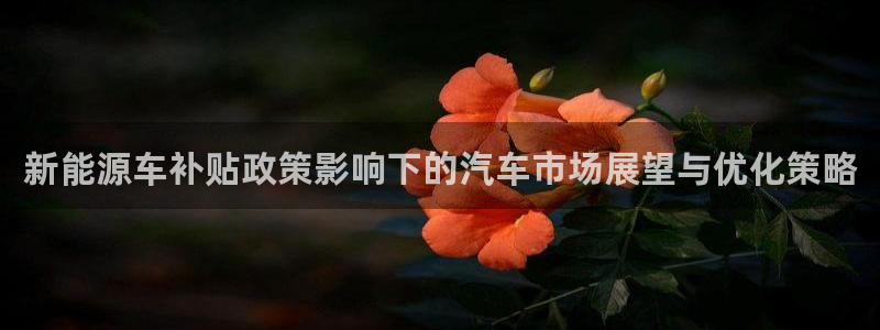 门徒娱乐是不是骗子:新能源车补贴政策影响下的汽车市场展望与优
