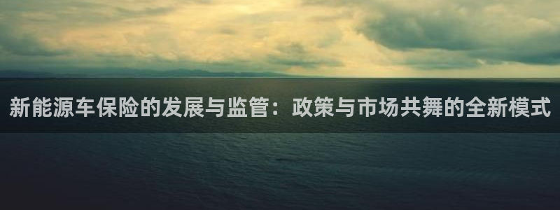 门徒娱乐注册网址:新能源车保险的发展与监管:政策与市场共舞的