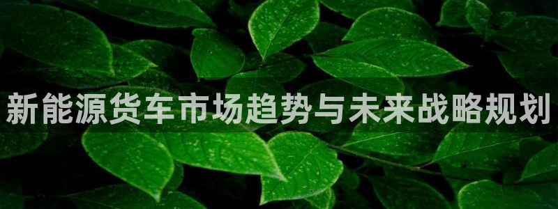 门徒娱乐跑路最新消息:新能源货车市场趋势与未来战略规划