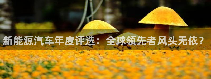 门徒娱乐是干嘛的:新能源汽车年度评选:全球领先者风头无依?