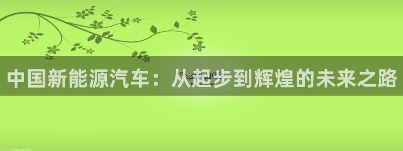 门徒娱乐代理怎么做:中国新能源汽车:从起步到辉煌的未来之路