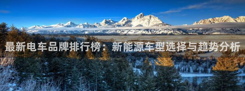 门徒娱乐是不是跑路了:最新电车品牌排行榜:新能源车型选择与趋