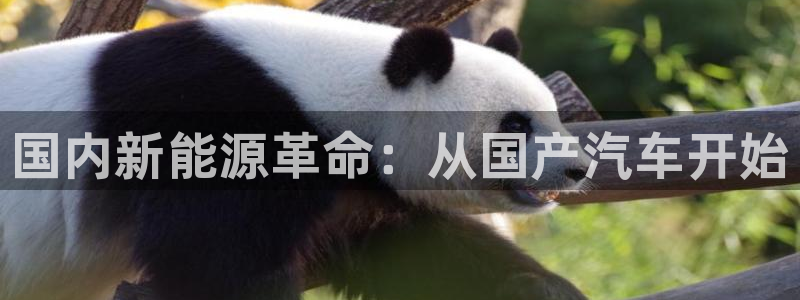 门徒娱乐圈主管报道是谁:国内新能源革命:从国产汽车开始