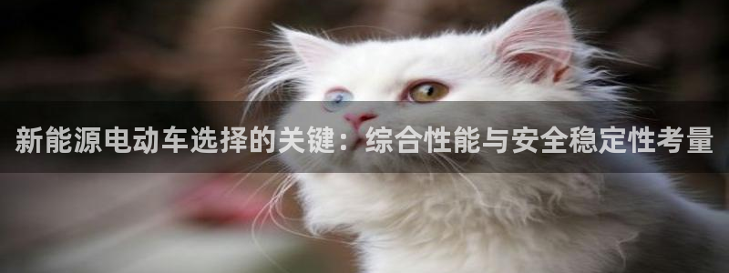门徒娱乐成功案例:新能源电动车选择的关键:综合性能与安全稳定