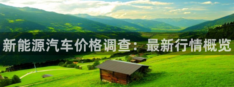 类似娱乐门徒小说:新能源汽车价格调查:最新行情概览