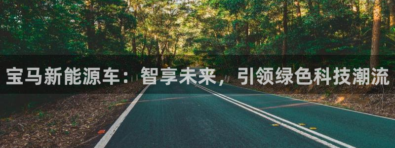 门徒娱乐招商会判官333OO:宝马新能源车:智享未来,引领绿