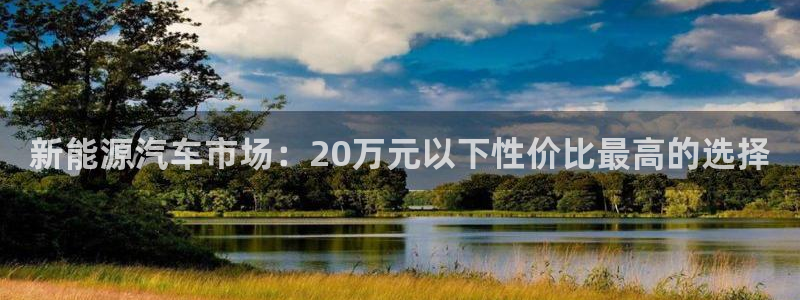 门徒娱乐登录地址查询:新能源汽车市场:20万元以下性价比最高