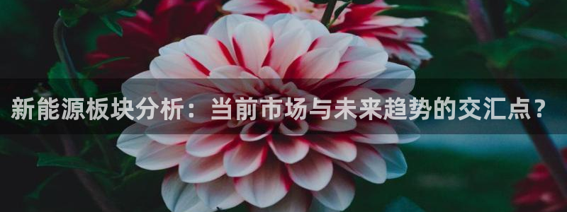门徒娱乐线路图片高清版:新能源板块分析:当前市场与未来趋势的
