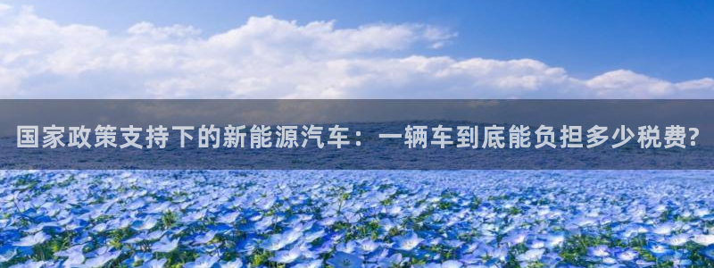 门徒娱乐手机登录不上:国家政策支持下的新能源汽车:一辆车到底