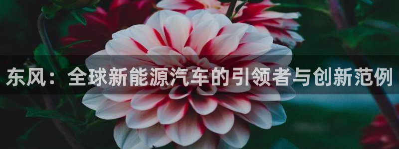 门徒娱乐平台代理登录网站:东风:全球新能源汽车的引领者与创新