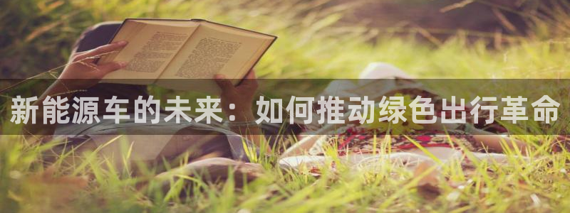 门徒娱乐他494o3:新能源车的未来:如何推动绿色出行革命