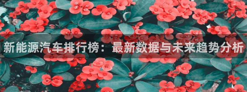 门徒娱乐注册下载安卓版:新能源汽车排行榜:最新数据与未来趋势