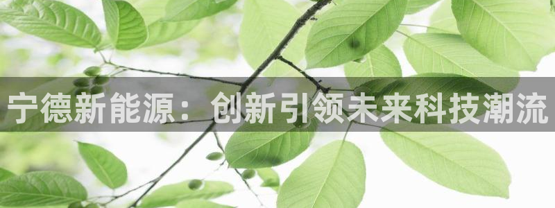 门徒娱乐网页版下载安卓:宁德新能源:创新引领未来科技潮流