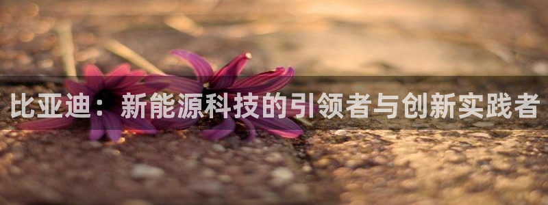 门徒娱乐发展趋势图