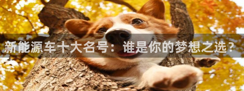 门徒娱乐发展趋势