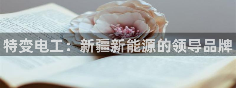 门徒娱乐这个平台怎么样