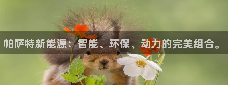 门徒娱乐挂机软件下载