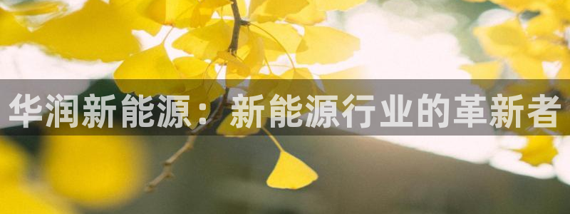 门徒娱乐山六七五一38