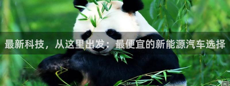 门徒娱乐集团官网首页：最新科技，从这里出