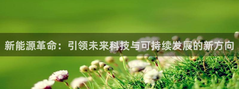 门徒娱乐注册官方微信号：新能源革命：引领