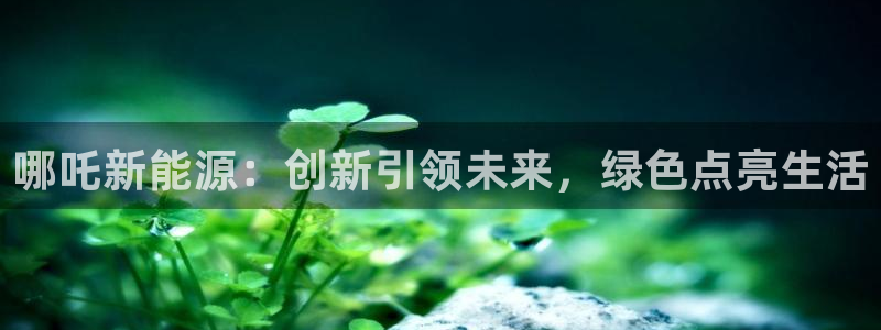 门徒娱乐项目有哪些游戏