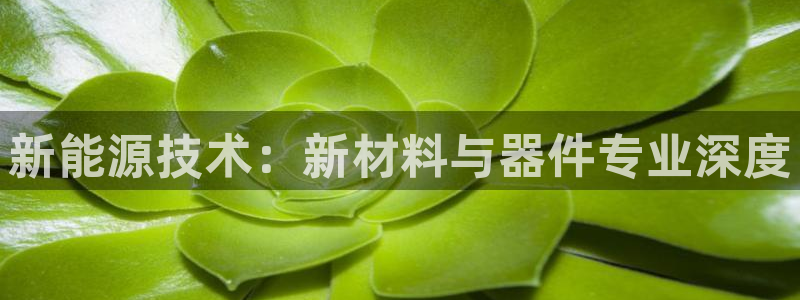 门徒娱乐网页版下载地址
