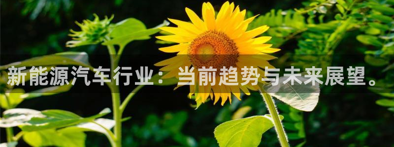 门徒娱乐最新消息今天