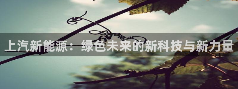 蓝狮和门徒娱乐