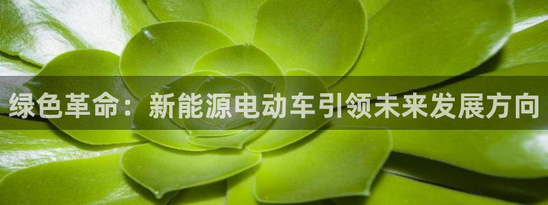 门徒娱乐咋样尼